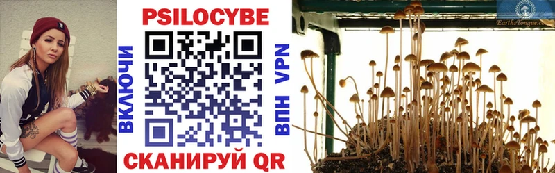 blacksprut ссылка  Райчихинск  Галлюциногенные грибы Psilocybe  магазин  наркотиков 